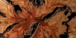 Wood Swimmer
