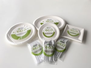 ACCC appeal dismissed over Woolworths&rsquo; &lsquo;compostable&rsquo; claims