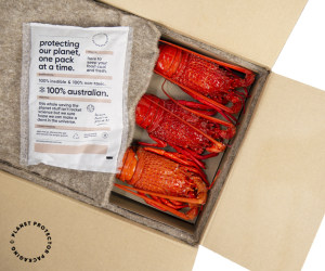 ANZ packaging wins big at WorldStar 21 awards