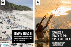 Consumers support decisive action on plastics