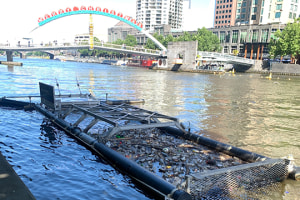 CDS Vic joins Clean Up Australia Day