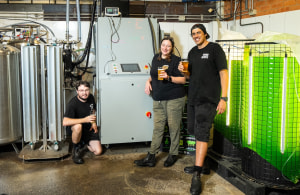 Drinking beer, making algae 