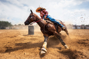 Sony World Photography Awards 2023 announces Open winners