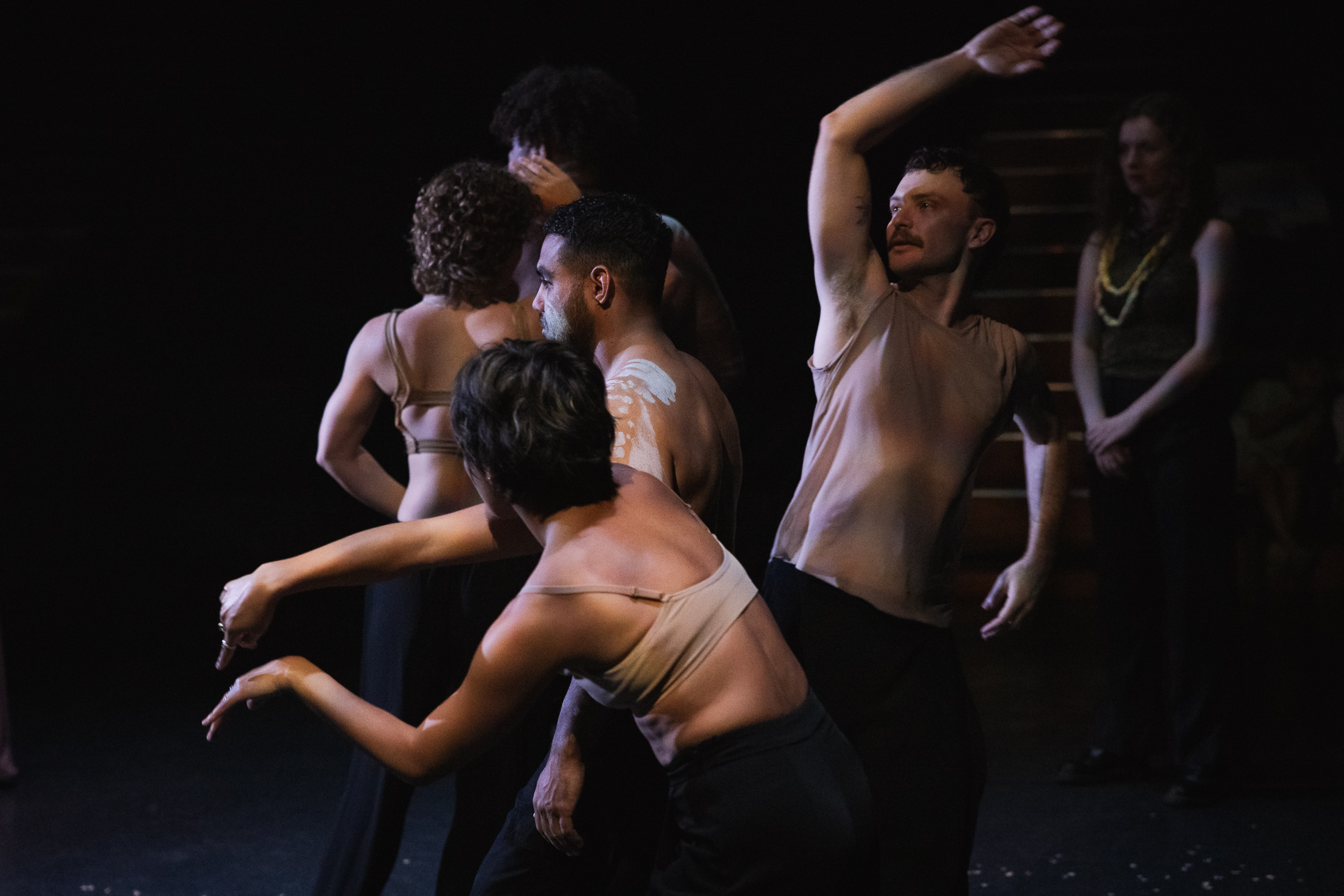 Saltner A Live Moment: Dancenorth celebrates 40th Anniversary at the opening ...