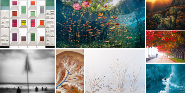 The Landscape Awards 2024 presented by SanDisk: The winners ...