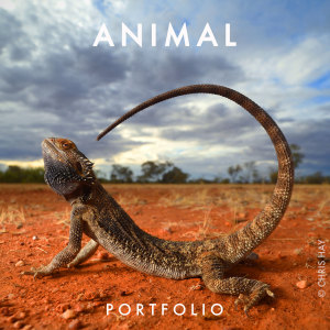 ANIMAL 2023