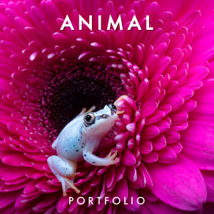 ANIMAL 2022