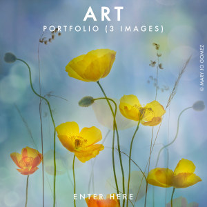 ART 2026