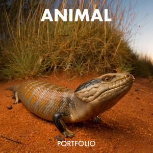 ANIMAL 2021