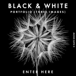 BLACK & WHITE 2027