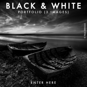 BLACK & WHITE 2026