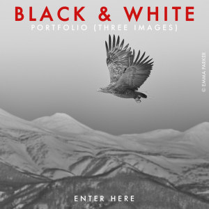 BLACK & WHITE 2025