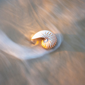 ENTRIES CLOSED - SOFT LIGHT