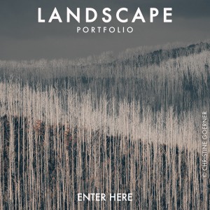 LANDSCAPE 2024