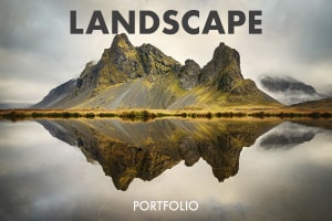 Landscape 2020