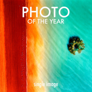 Single Shot 2019