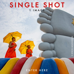 SINGLE SHOT 2026