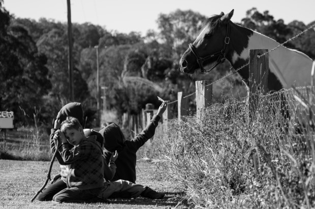 Horse and the Kids