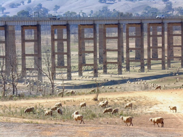 Boonie Doon Bridge across Lake Eildon