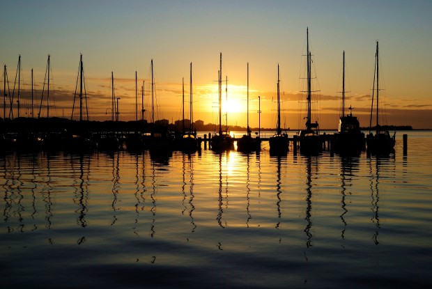 Marina Sunrise
